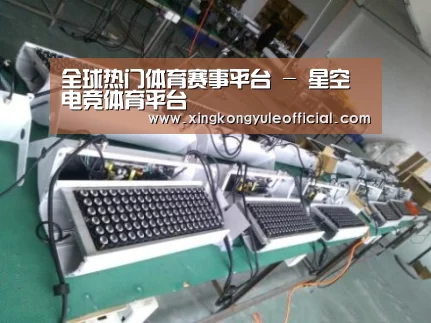 星空娱乐案例展示一