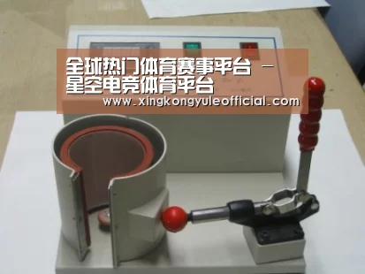 星空娱乐案例展示六