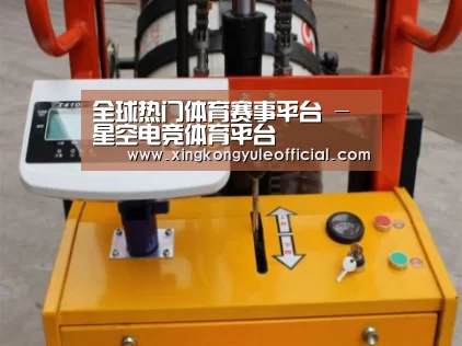 星空娱乐案例展示三(图1)