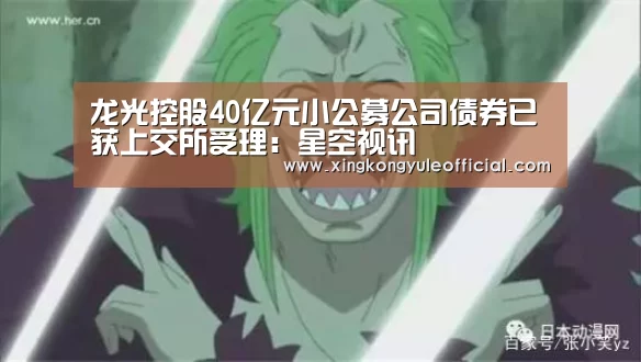龙光控股40亿元小公募公司债券已获上交所受理:星空视讯(图2) 星空登录