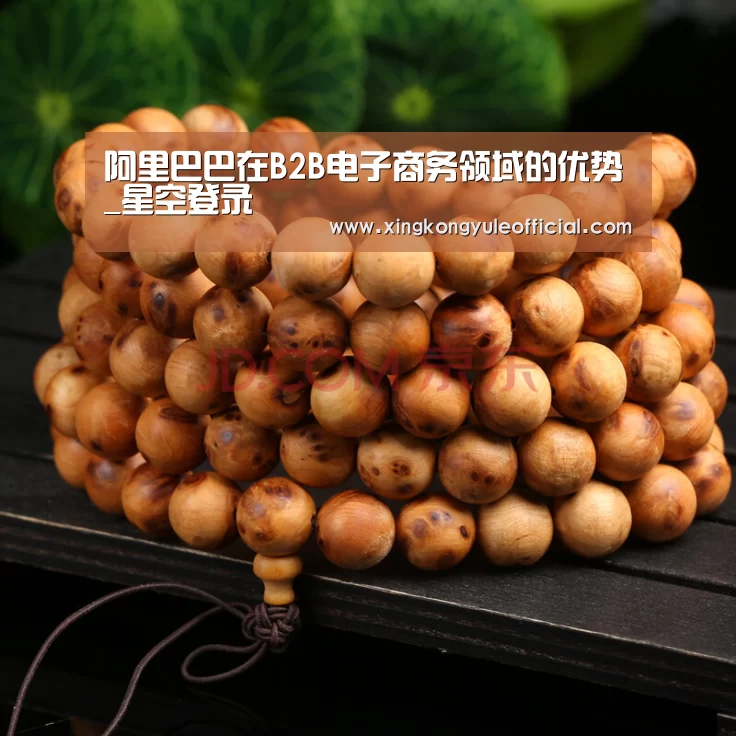 阿里巴巴在B2B电子商务领域的优势_星空登录(图3) 星空视讯