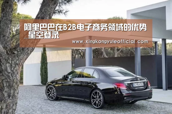 阿里巴巴在B2B电子商务领域的优势_星空登录(图4) 星空竞猜